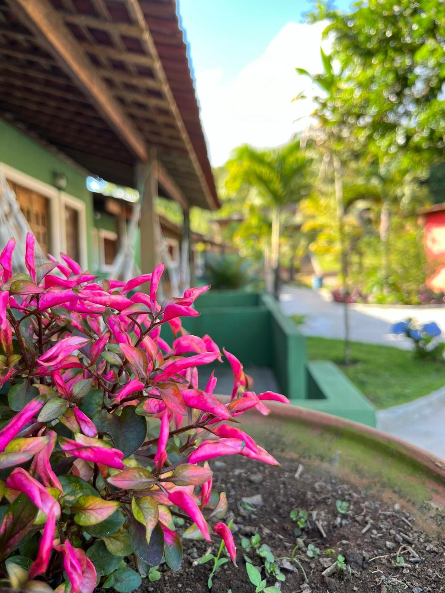 Pousada E Restaurante Alto Da Serra Bonito  Kültér fotó