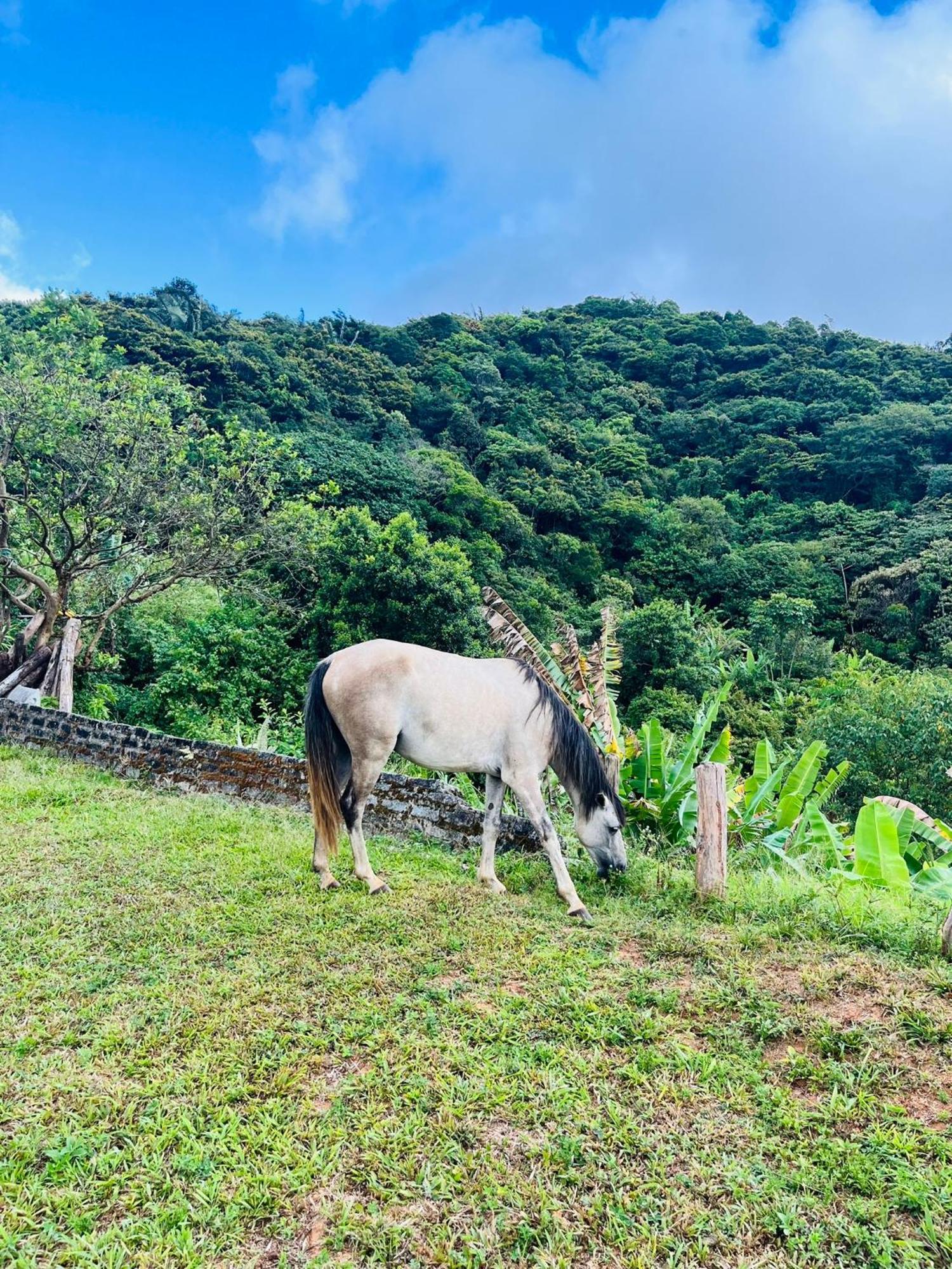 Pousada E Restaurante Alto Da Serra Bonito  Kültér fotó